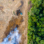 aerial view of deforestation